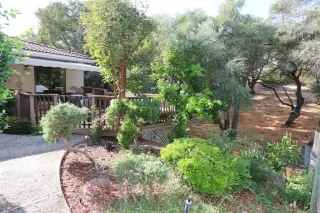 Photo #1: 19065820 Listing