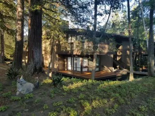 Photo #2: 19066946 Listing