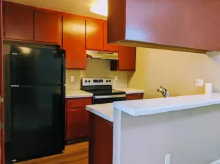 Photo #5: 19077200 Listing 