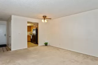 Photo #6: 19077343 Listing