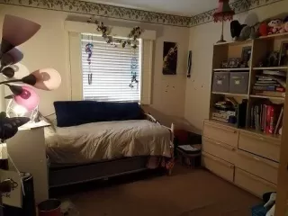 Photo #5: 19078170 Listing 