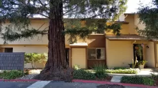 Photo #1: 19079706 Listing 