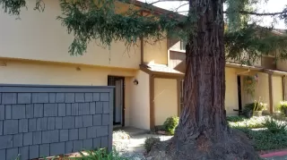 Photo #2: 19079706 Listing 