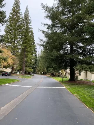 Photo #1: 19079737 Listing