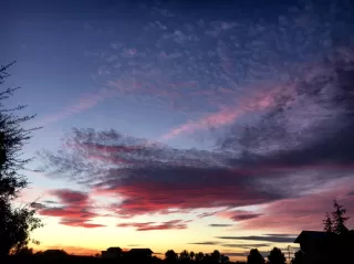 Photo #1: 19080043 Listing 