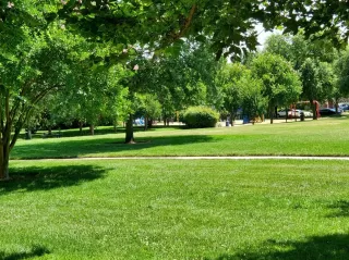 Photo #5: 19080400 Listing 