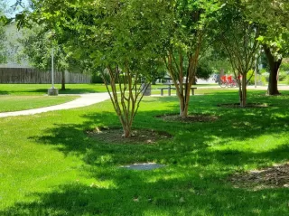 Photo #6: 19080400 Listing 