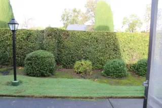 Photo #2: 19080793 Listing 