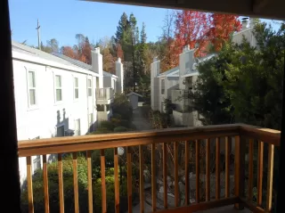 Photo #1: 19080953 Listing