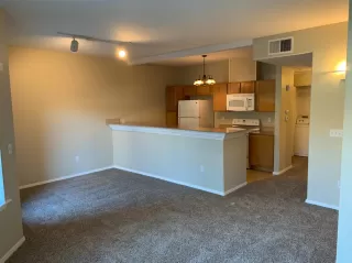 Photo #1: 19081738 Listing 