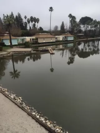 Photo #1: 19082495 Listing