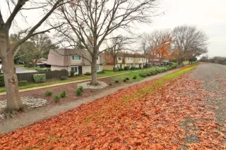 Photo #4: 20000154 Listing