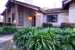 Photo #2: 20000203 Listing