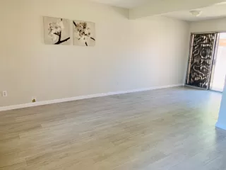 Photo #1: 20002022 Listing