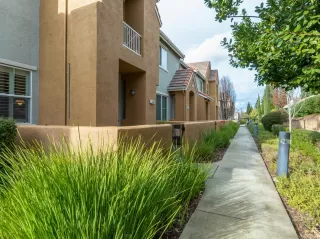 Photo #1: 20002641 Listing 