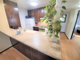 Photo #6: 20005189 Listing