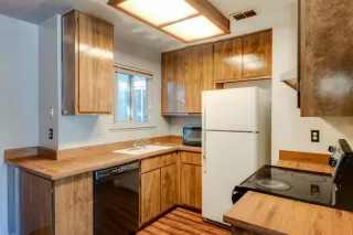 Photo #1: 20005579 Listing