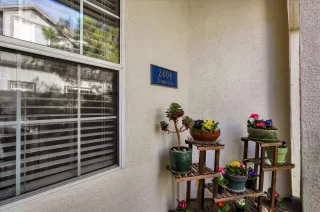 Photo #4: 20005813 Listing 