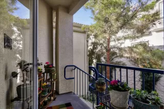 Photo #5: 20005813 Listing 