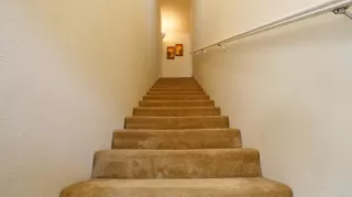 Photo #1: 20006482 Listing 