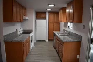 Photo #1: 20006826 Listing