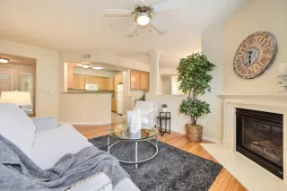 Photo #1: 20007404 Listing