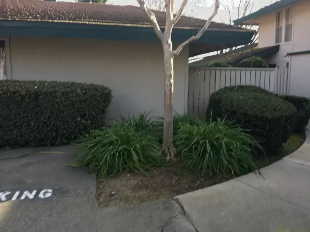 MLS: 20007420 Condo For Sale