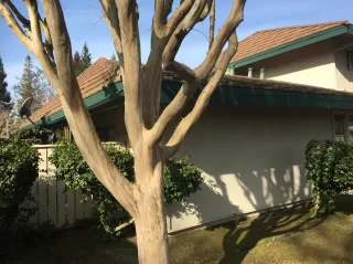 Photo #1: 20007420 Listing