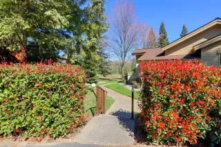 Photo #2: 20008033 Listing