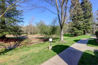 Photo #3: 20008033 Listing