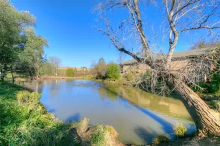 Photo #1: 20008195 Listing