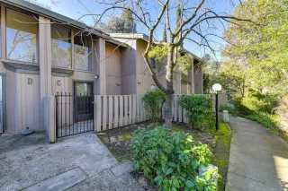 Photo #1: 20008206 Listing 