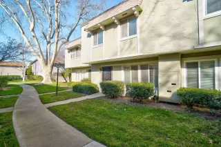 Photo #1: 20008407 Listing