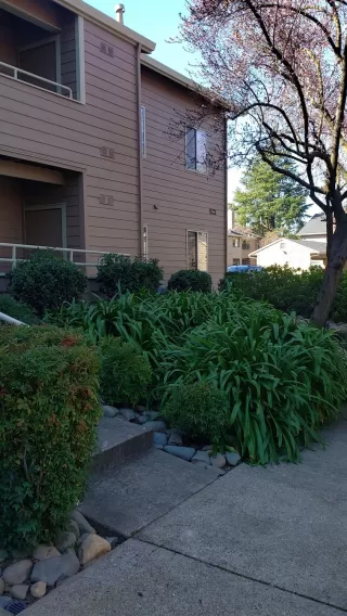 Photo #1: 20009176 Listing