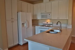 Photo #1: 20009268 Listing