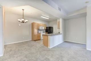 Photo #6: 20009556 Listing