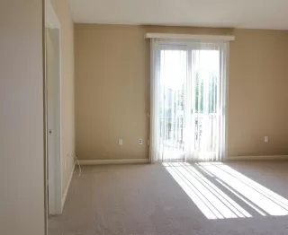 Photo #6: 20009857 Listing 