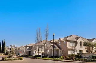 Photo #1: 20009859 Listing