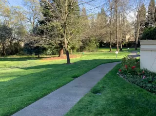 Photo #4: 20013513 Listing