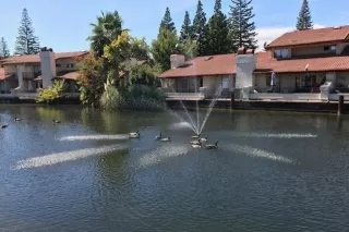 Photo #3: 20016603 Listing 