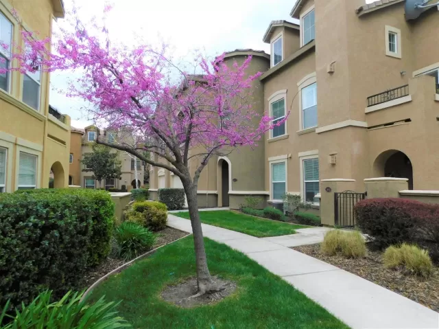 MLS: 20016984 Condo For Sale