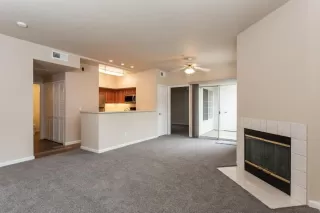 Photo #1: 20017923 Listing 