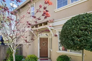 Photo #1: 20018056 Listing