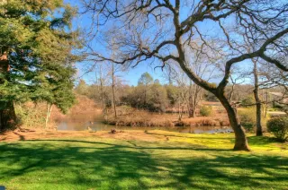 Photo #4: 20019630 Listing