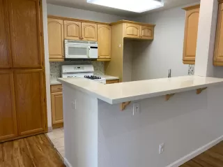 Photo #1: 20020299 Listing 