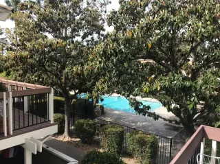 Photo #3: 20021804 Listing