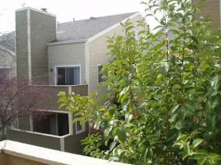 Photo #3: 20022027 Listing