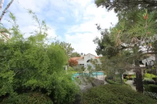 Photo #4: 20022440 Listing 