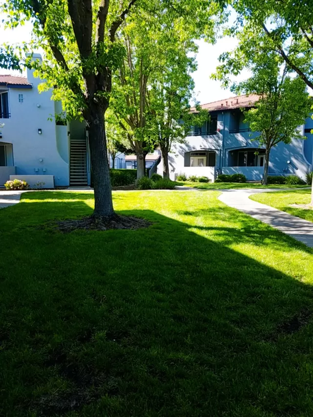 MLS: 20023216 Condo For Sale