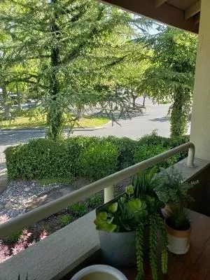 Photo #4: 20023465 Listing